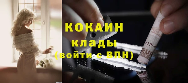 гидра Кодинск
