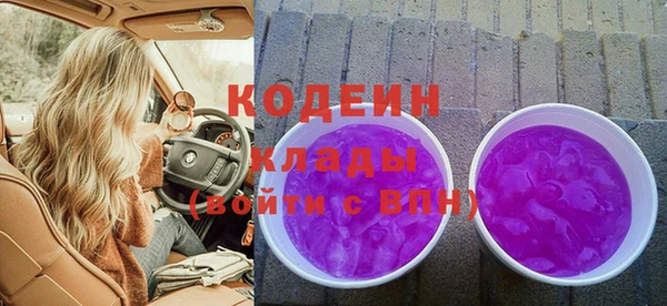 гидра Кодинск