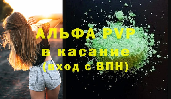 гидра Кодинск
