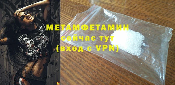 гидра Кодинск