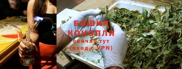 гидра Галич