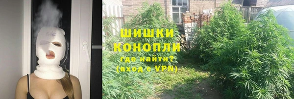 гидра Кодинск
