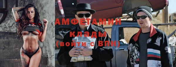 гидра Кодинск