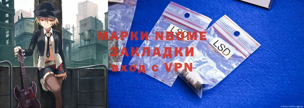 гидра Кодинск