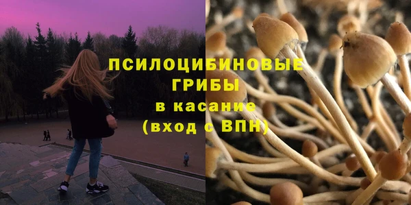 гидра Кодинск
