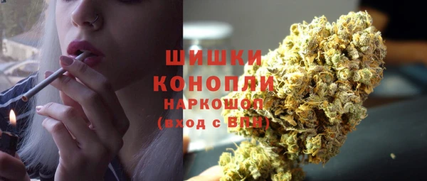 гидра Кодинск