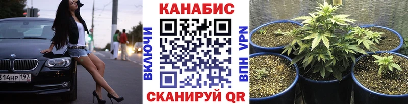Шишки марихуана Bruce Banner  как найти закладки  Кировград 